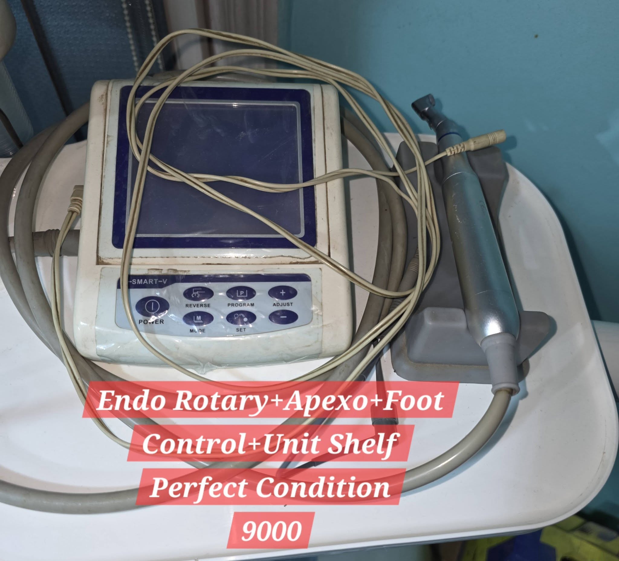 endo rotary